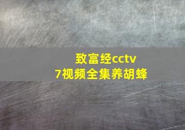 致富经cctv7视频全集养胡蜂