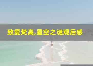 致爱梵高,星空之谜观后感