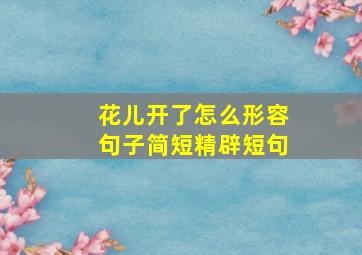 花儿开了怎么形容句子简短精辟短句