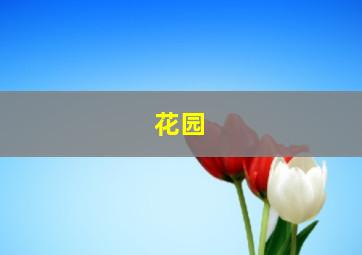 花园;菜园英语怎么读