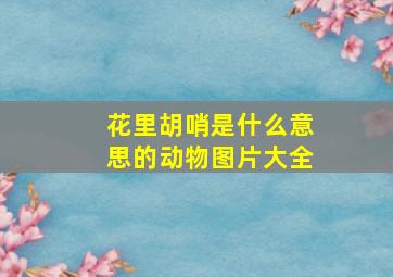 花里胡哨是什么意思的动物图片大全