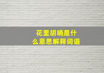 花里胡哨是什么意思解释词语