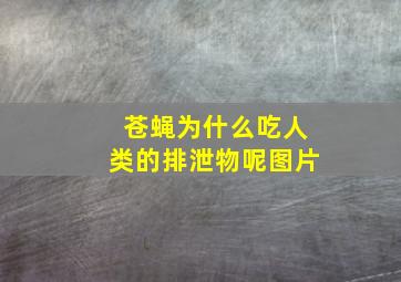 苍蝇为什么吃人类的排泄物呢图片