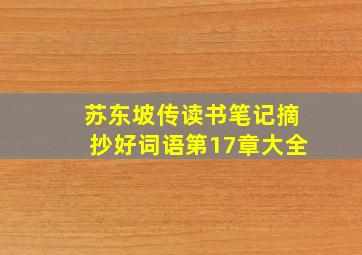 苏东坡传读书笔记摘抄好词语第17章大全