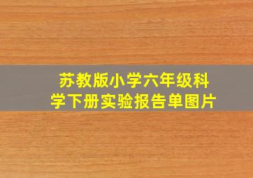 苏教版小学六年级科学下册实验报告单图片