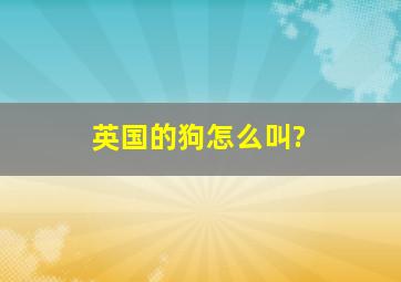 英国的狗怎么叫?