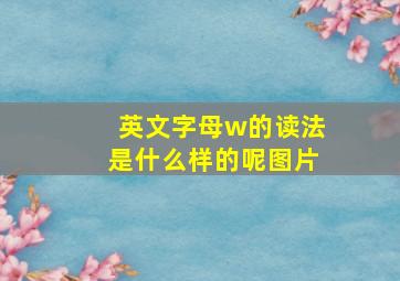 英文字母w的读法是什么样的呢图片