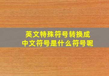 英文特殊符号转换成中文符号是什么符号呢