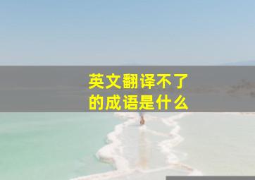 英文翻译不了的成语是什么