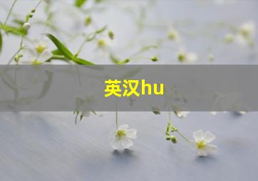 英汉hu