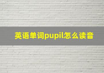 英语单词pupil怎么读音