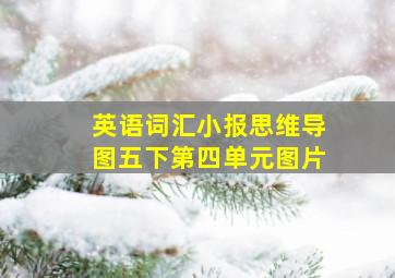 英语词汇小报思维导图五下第四单元图片