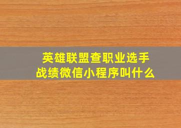 英雄联盟查职业选手战绩微信小程序叫什么