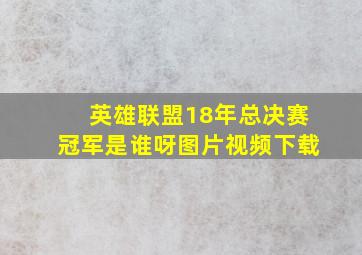 英雄联盟18年总决赛冠军是谁呀图片视频下载