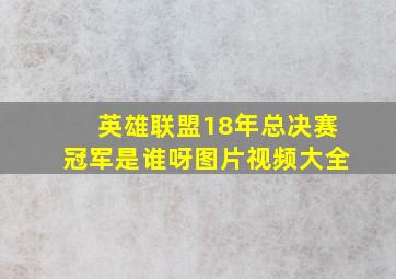 英雄联盟18年总决赛冠军是谁呀图片视频大全