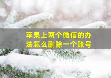 苹果上两个微信的办法怎么删除一个账号