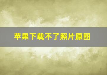 苹果下载不了照片原图