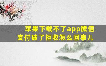 苹果下载不了app微信支付被了拒收怎么回事儿