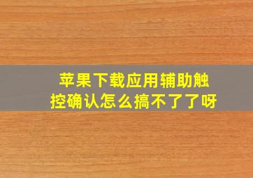 苹果下载应用辅助触控确认怎么搞不了了呀