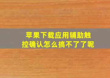 苹果下载应用辅助触控确认怎么搞不了了呢