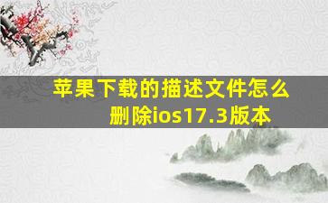 苹果下载的描述文件怎么删除ios17.3版本