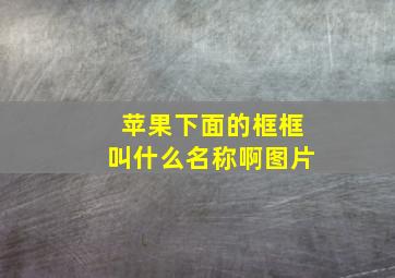 苹果下面的框框叫什么名称啊图片