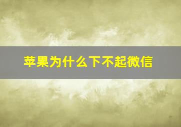 苹果为什么下不起微信