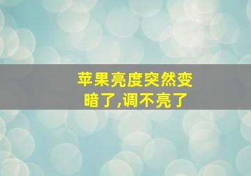 苹果亮度突然变暗了,调不亮了