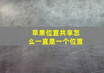 苹果位置共享怎么一直是一个位置