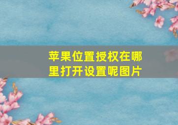 苹果位置授权在哪里打开设置呢图片