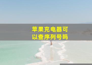 苹果充电器可以查序列号吗