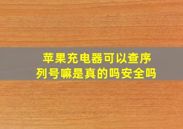 苹果充电器可以查序列号嘛是真的吗安全吗