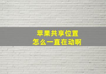 苹果共享位置怎么一直在动啊