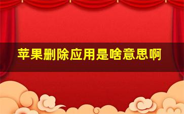 苹果删除应用是啥意思啊