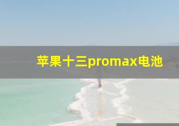 苹果十三promax电池