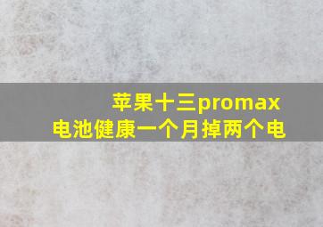 苹果十三promax电池健康一个月掉两个电