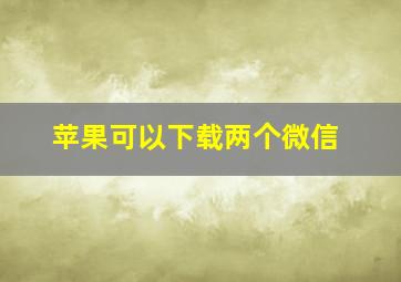 苹果可以下载两个微信