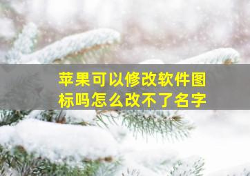 苹果可以修改软件图标吗怎么改不了名字