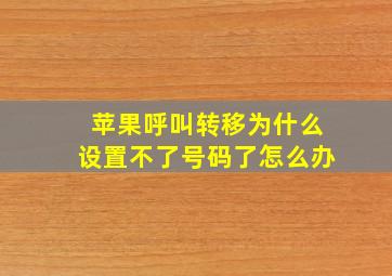 苹果呼叫转移为什么设置不了号码了怎么办