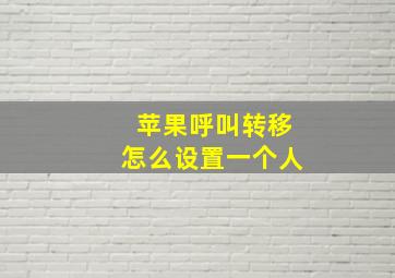 苹果呼叫转移怎么设置一个人