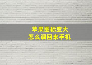 苹果图标变大怎么调回来手机