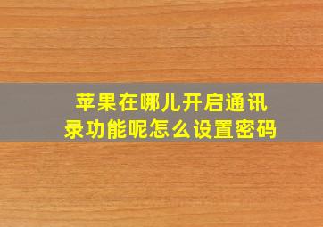 苹果在哪儿开启通讯录功能呢怎么设置密码