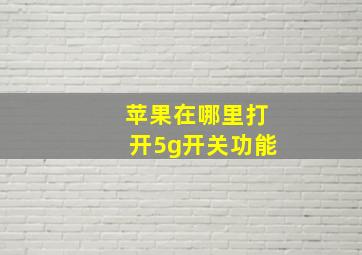 苹果在哪里打开5g开关功能