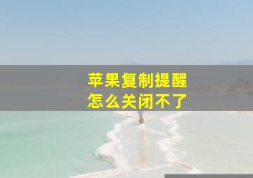 苹果复制提醒怎么关闭不了