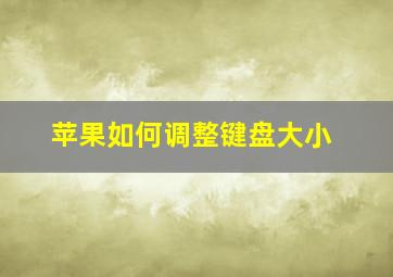 苹果如何调整键盘大小