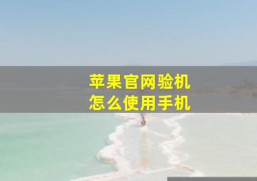 苹果官网验机怎么使用手机