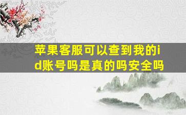 苹果客服可以查到我的id账号吗是真的吗安全吗