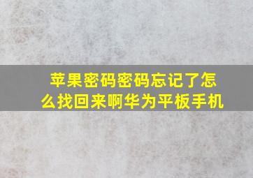 苹果密码密码忘记了怎么找回来啊华为平板手机