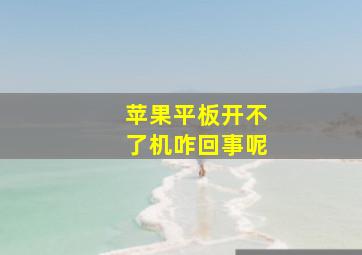 苹果平板开不了机咋回事呢