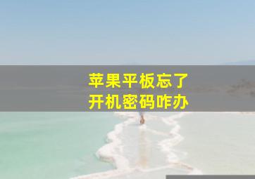 苹果平板忘了开机密码咋办